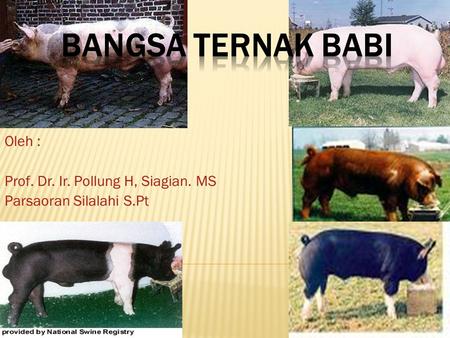 Oleh : Prof. Dr. Ir. Pollung H, Siagian. MS Parsaoran Silalahi S.Pt