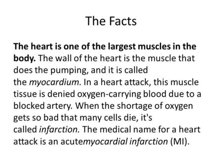 The Facts The heart is one of the largest muscles in the body. The wall of the heart is the muscle that does the pumping, and it is called the myocardium.