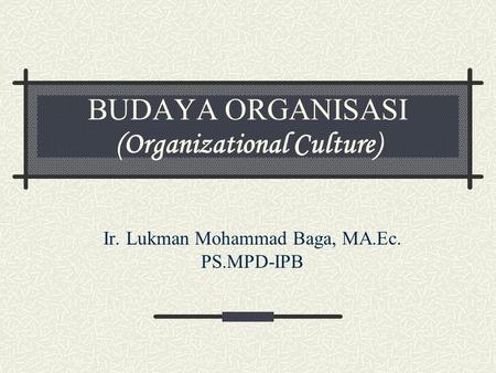 BUDAYA ORGANISASI (Organizational Culture)