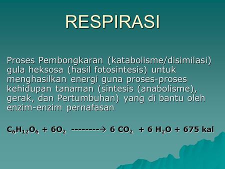 RESPIRASI Proses Pembongkaran (katabolisme/disimilasi) gula heksosa (hasil fotosintesis) untuk menghasilkan energi guna proses-proses kehidupan tanaman.