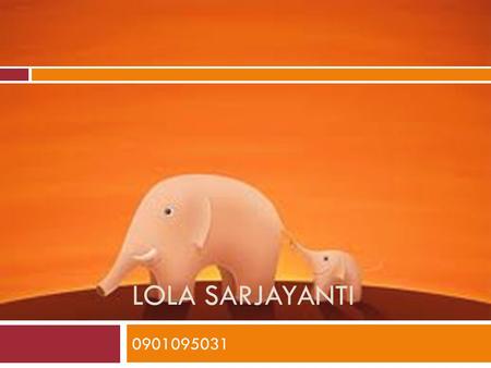 Lola Sarjayanti 0901095031.