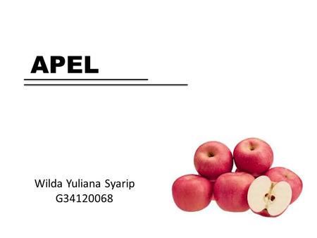 APEL Wilda Yuliana Syarip G34120068.