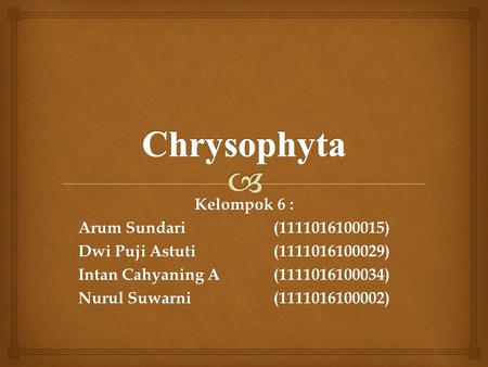 Chrysophyta Kelompok 6 : Arum Sundari ( )