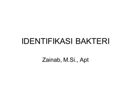 IDENTIFIKASI BAKTERI Zainab, M.Si., Apt.