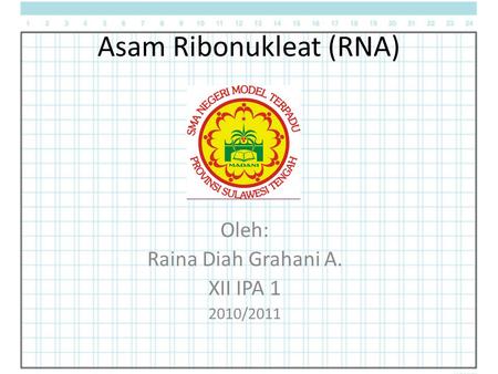 Asam Ribonukleat (RNA)