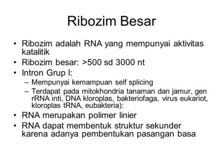 Ribozim Besar Ribozim adalah RNA yang mempunyai aktivitas katalitik