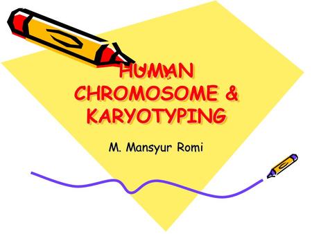 HUMAN CHROMOSOME & KARYOTYPING M. Mansyur Romi. CHROMOSOME The highest order of DNA coiling Each species has a characteristic number and size of chromosomes,