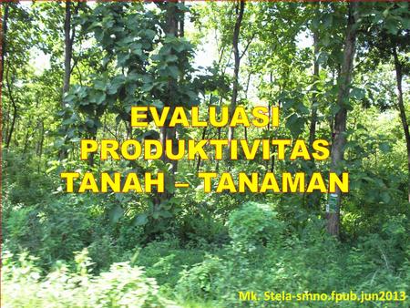 EVALUASI PRODUKTIVITAS TANAH – TANAMAN