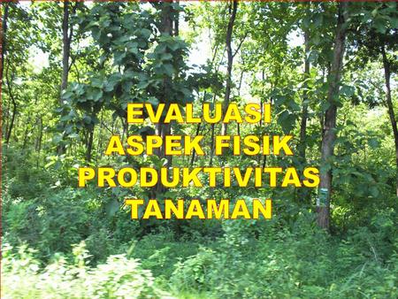 ASPEK FISIK PRODUKTIVITAS