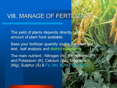 The yield of plants depends directly on the amount of plant food available. Base your fertilizer quantity on the pre-plant soil test, leaf analysis and.