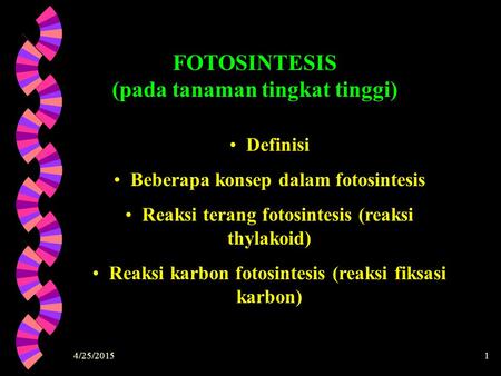 FOTOSINTESIS (pada tanaman tingkat tinggi)