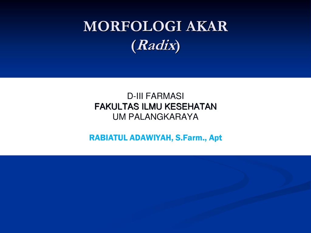 Morfologi Akar Radix Ppt Download