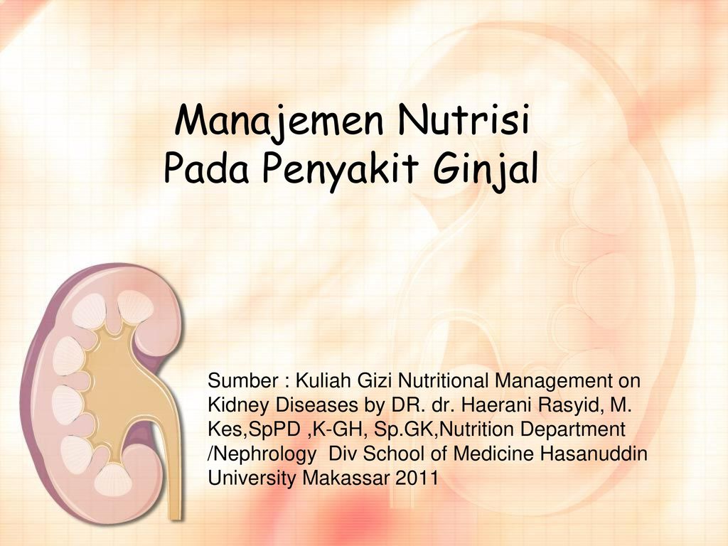 Manajemen Nutrisi Pada Penyakit Ginjal Ppt Download