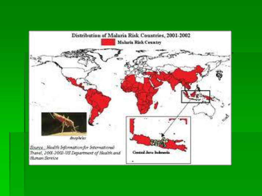 Малярия распространена. Малярия ареал распространения. Ареал обитания малярийных комаров. Карта обитания малярийного комара. Ареал распространения малярийного комара.