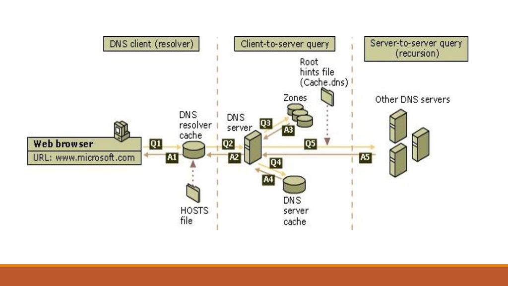 Host cache. DNS запрос. Схемы DNS запросов. DNS резольвер что это. ДНС обратный запрос.