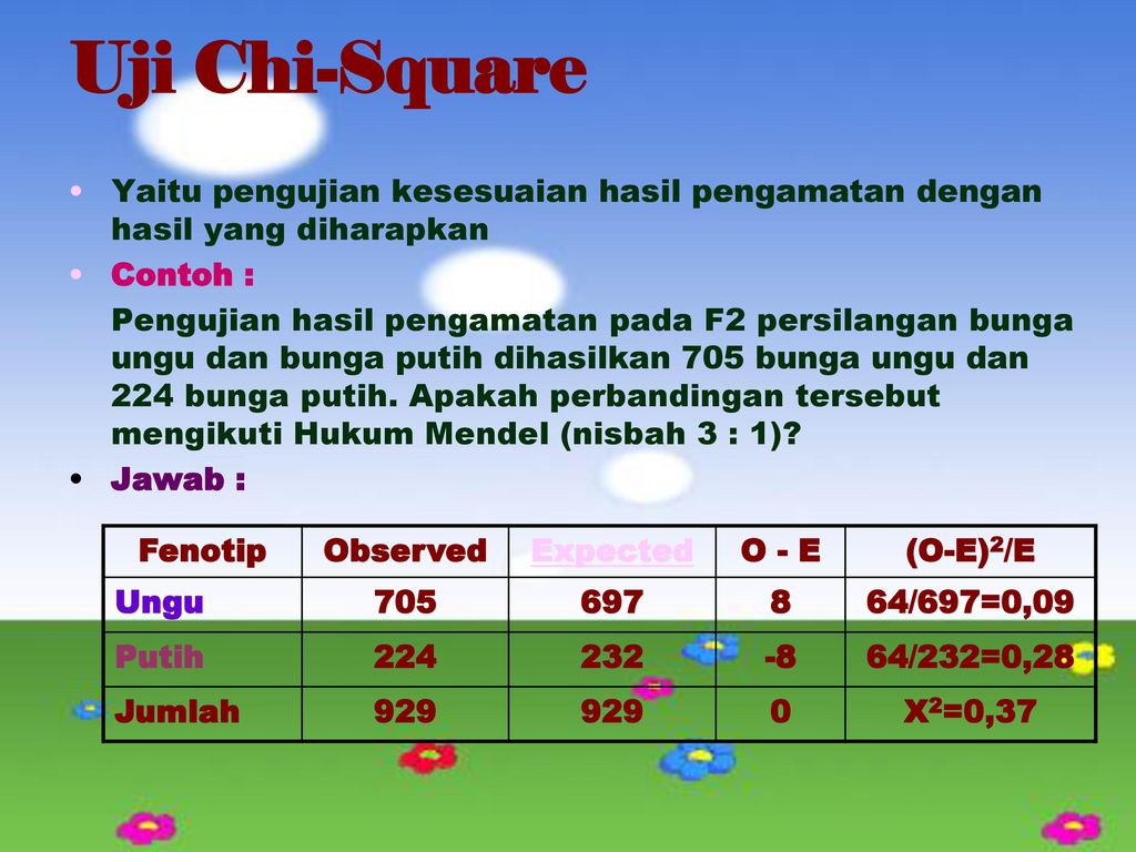 Contoh Uji Chi Square – Brain