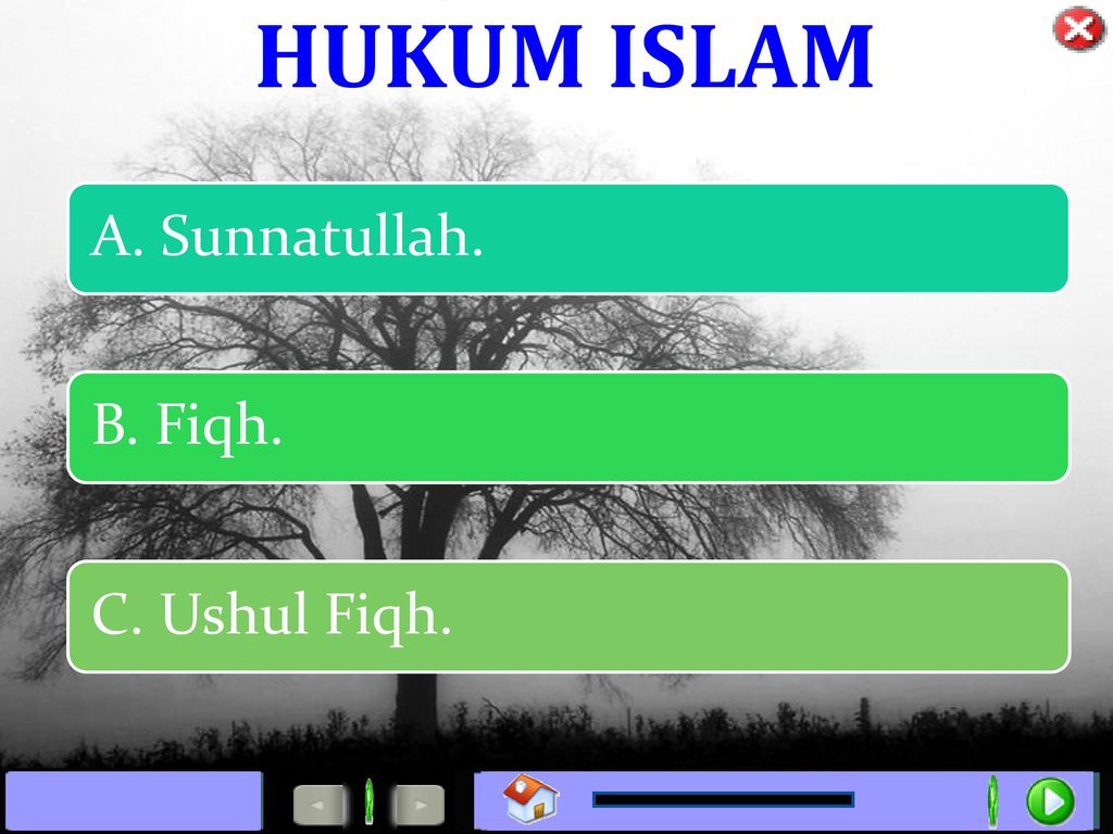 Sunnatullah adalah yang adapun dimaksud dengan Pengertian Sunnatullah