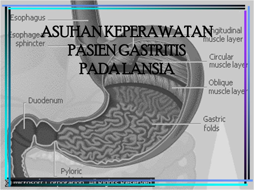 Contoh Askep Gastritis Pada Lansia Laporan Ku