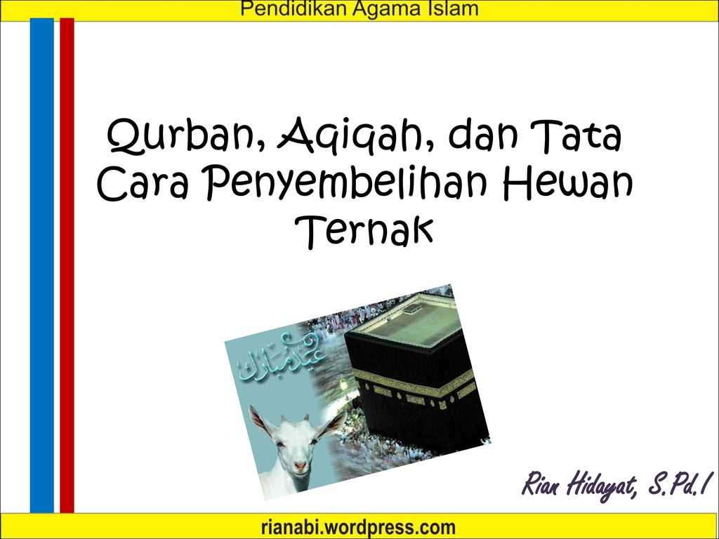 Qurban Aqiqah Dan Tata Cara Penyembelihan Hewan Ternak Ppt Download