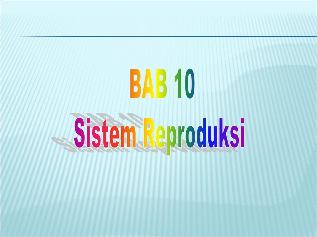 Kunci Jawaban Bab 10 Sistem Reproduksi - Senang Soal