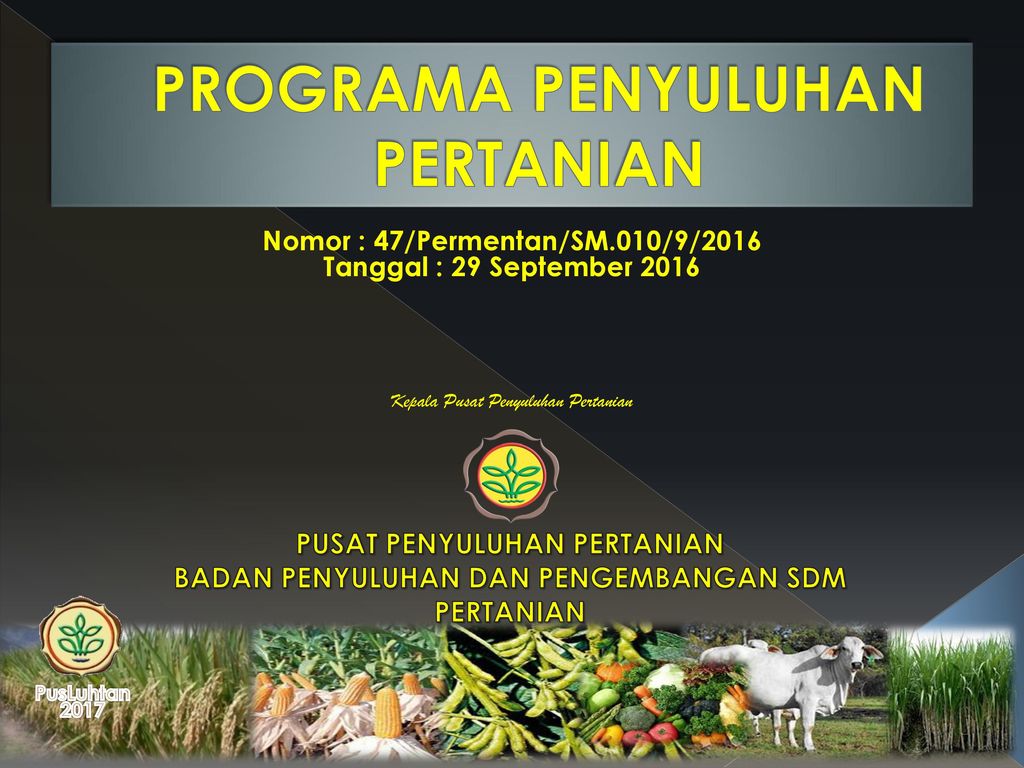 Perencanaan Program Penyuluhan Pertanian Di Desa