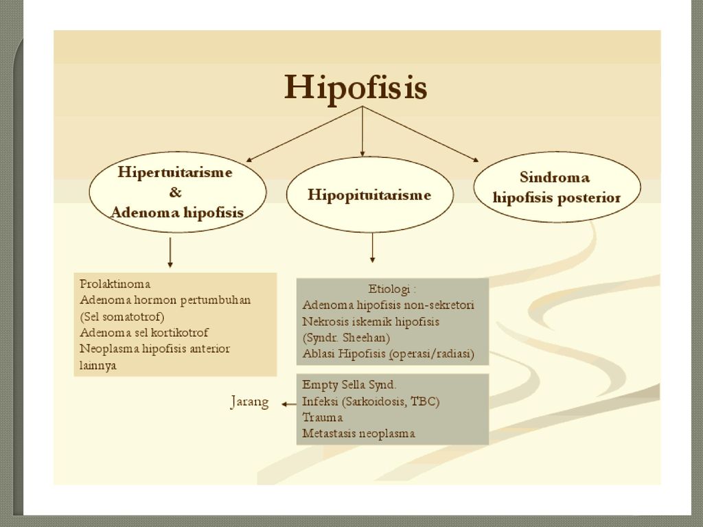 Adenoma hipofisis adalah