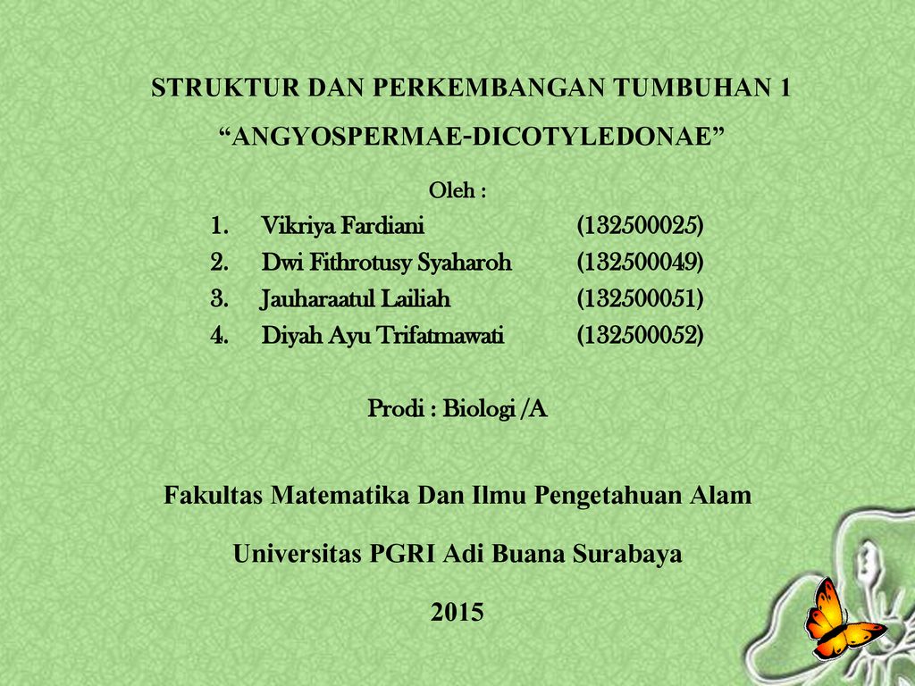 Struktur Dan Perkembangan Tumbuhan 1 Angyospermae Dicotyledonae Ppt Download