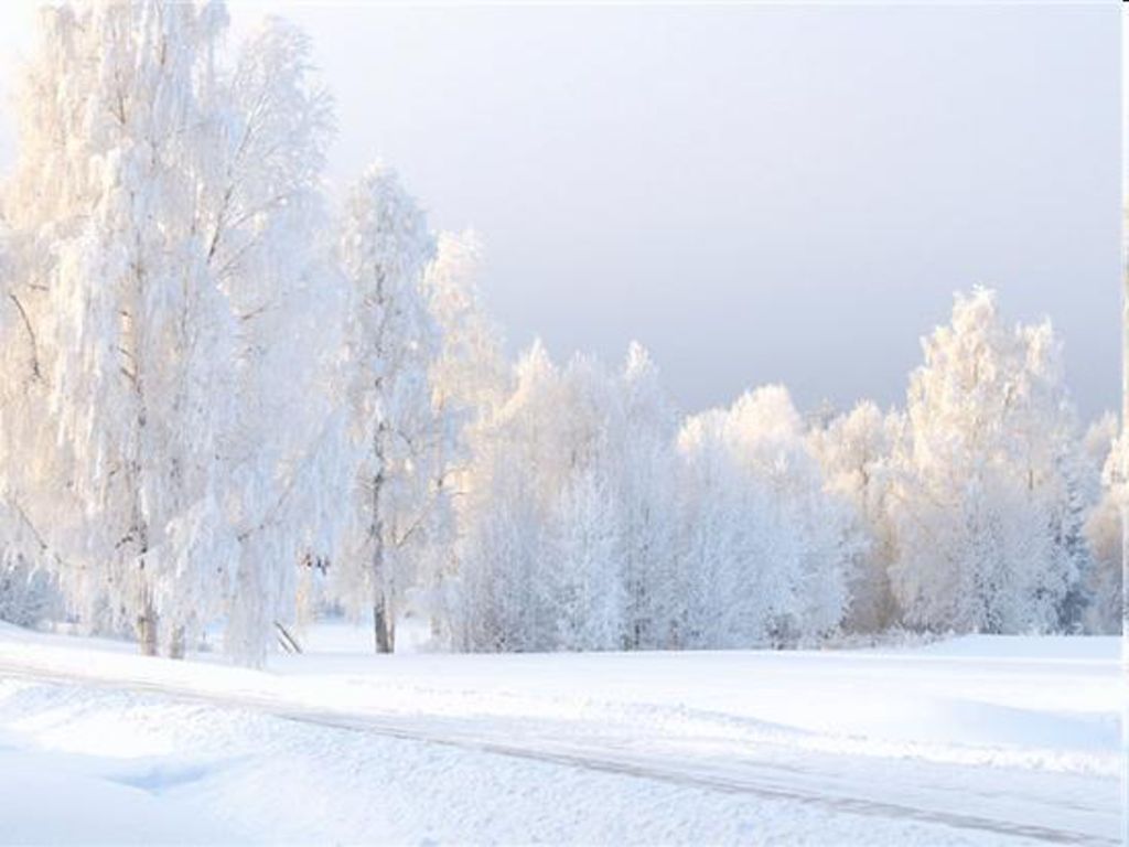 Белый снег слепит глаза. Зимнее поле. Зимнее утро. Белая зима. Солнечное зимнее утро.