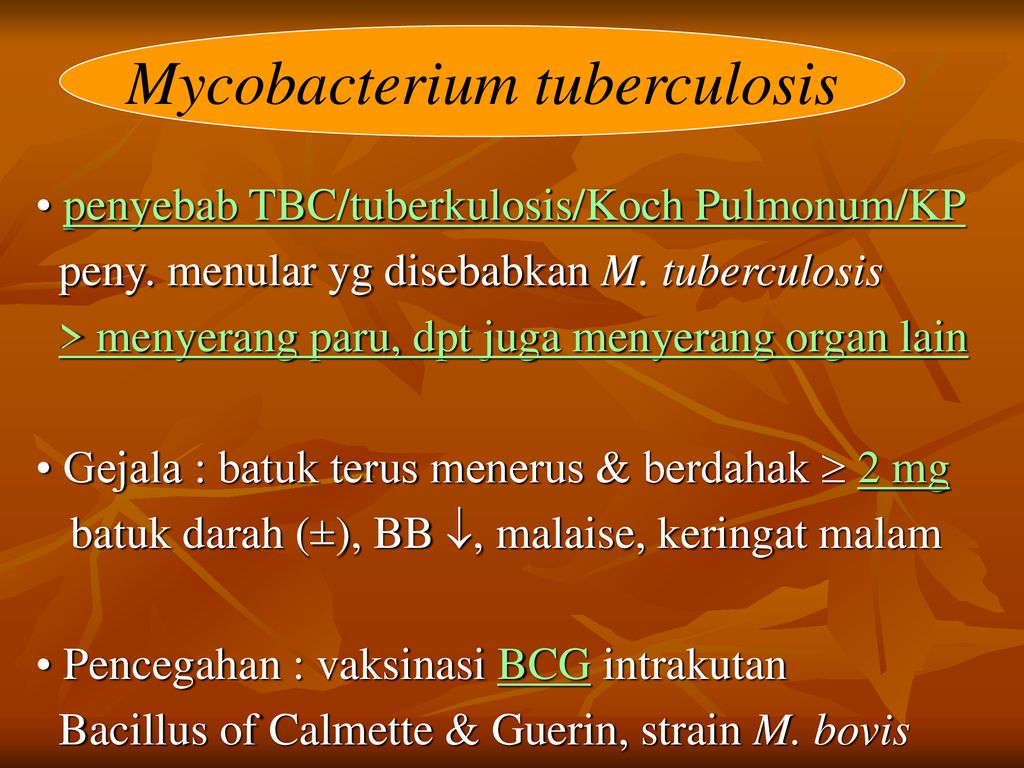 Mycobacterium tuberculosis - ppt download