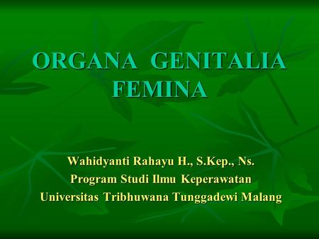 ORGANA GENITALIA FEMINA