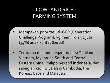 LOWLAND RICE FARMING SYSTEM