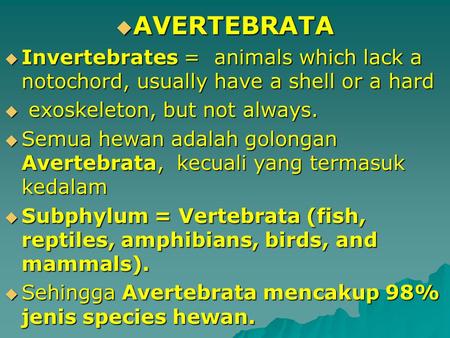 AVERTEBRATA Invertebrates = animals which lack a notochord, usually have a shell or a hard exoskeleton, but not always. Semua hewan adalah golongan Avertebrata,