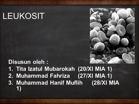 LEUKOSIT Disusun oleh : Tita Izatul Mubarokah (20/XI MIA 1)