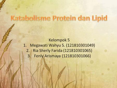 Katabolisme Protein dan Lipid