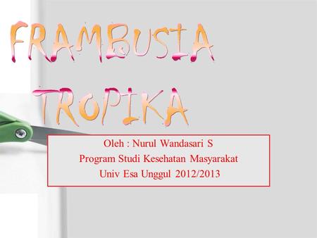 Oleh : Nurul Wandasari S Program Studi Kesehatan Masyarakat Univ Esa Unggul 2012/2013.