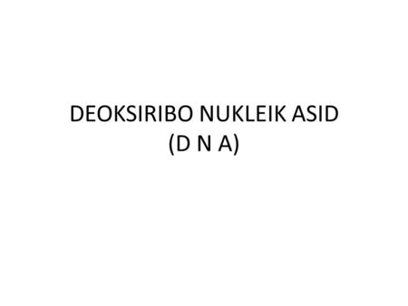DEOKSIRIBO NUKLEIK ASID (D N A)