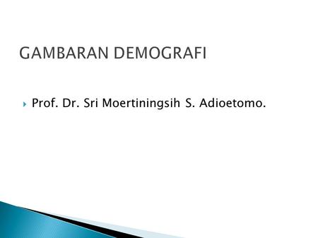 GAMBARAN DEMOGRAFI Prof. Dr. Sri Moertiningsih S. Adioetomo.