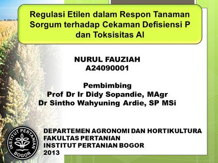 Prof Dr Ir Didy Sopandie, MAgr Dr Sintho Wahyuning Ardie, SP MSi