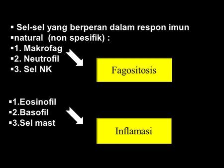 Fagositosis Inflamasi Sel-sel yang berperan dalam respon imun
