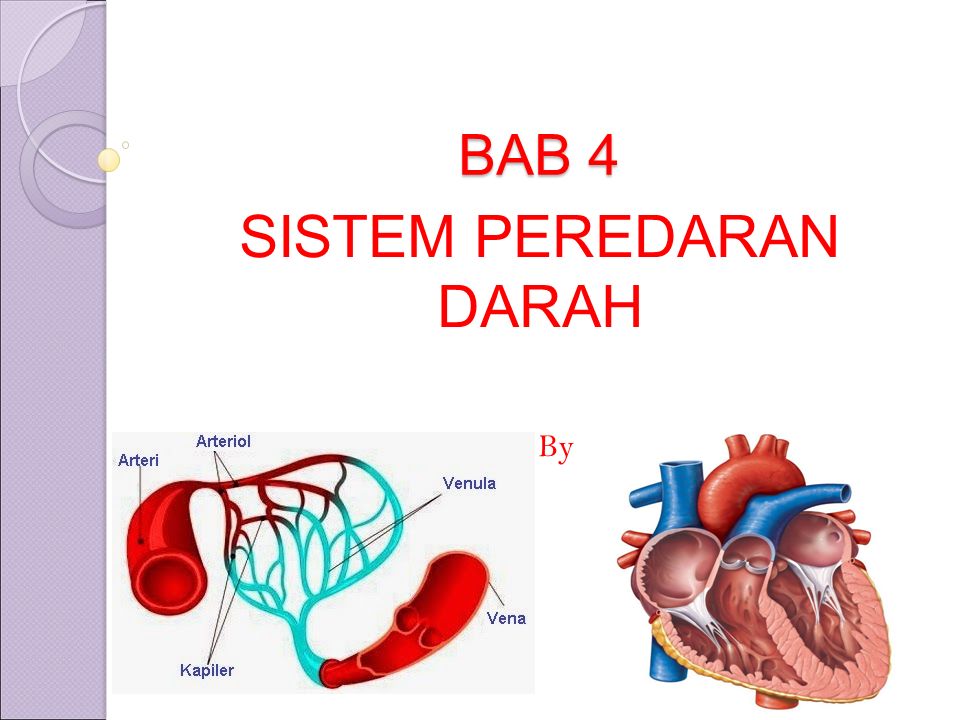 Bab 4 Sistem Peredaran Darah By Anna Laura Silaban S Si Ppt Download