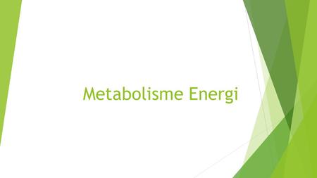 Metabolisme Energi.