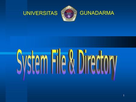 System File & Directory