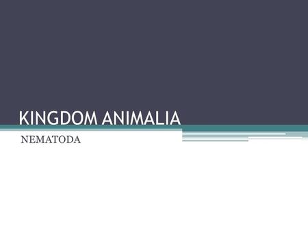 KINGDOM ANIMALIA NEMATODA.