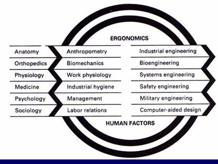 DASAR KEILMUAN : Anthropometry : Pengukuran dan Deskripsi dari Dimensi Fisik Badan Manusia Kinesiologi	 : Mekanika Pergerakan Manusia Biomechanics.