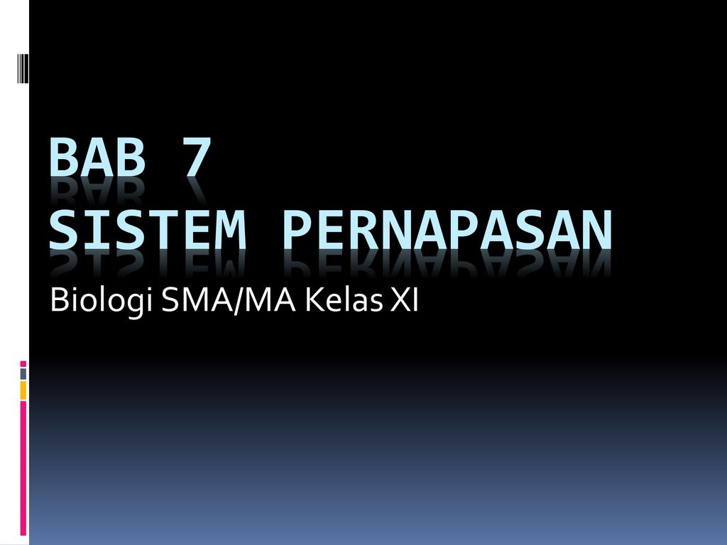 Biologi Sma Ma Kelas Xi Ppt Download