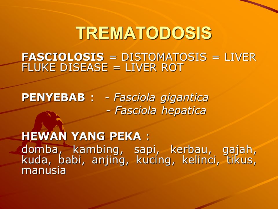 trematodosis fascioliasis a test allergiás reakciója a helmintákra