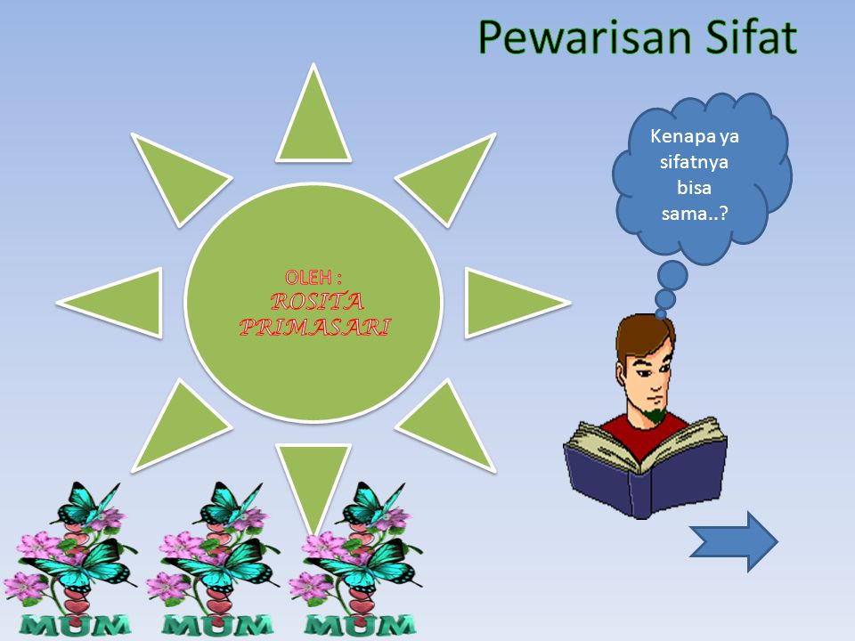 Ppt pewarisan sifat kelas 12