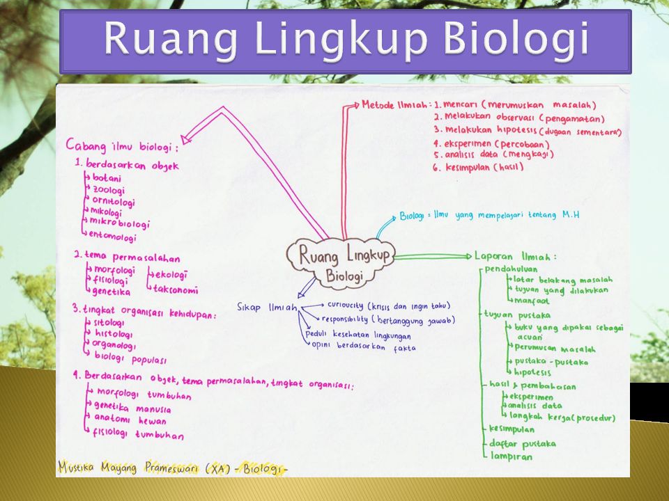 Ruang Lingkup Biologi Ppt Download