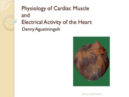 Physiology of Cardiac Muscle and Electrical Activity of the Heart