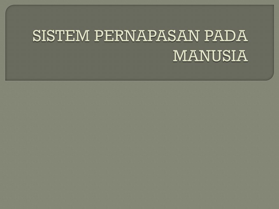 Sistem Pernapasan Pada Manusia Ppt Download